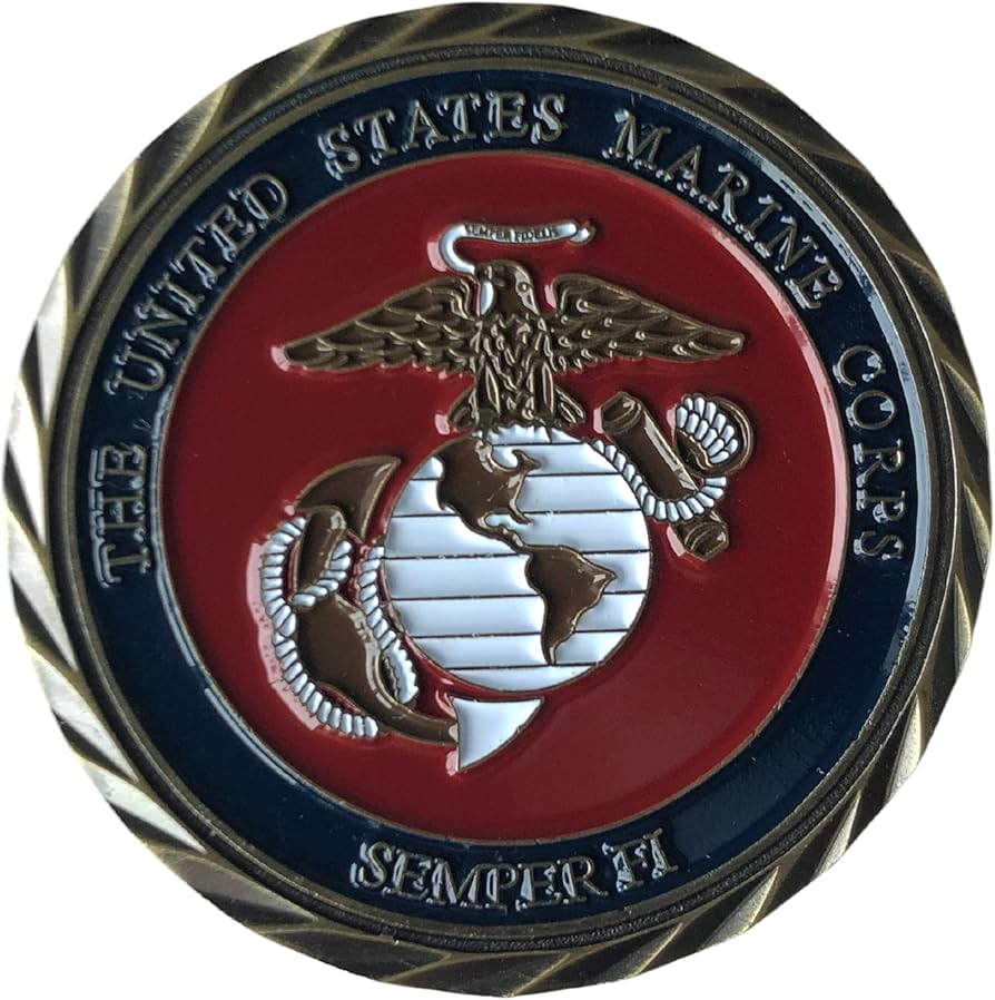 81LckVLZ0wS._AC_UF894,