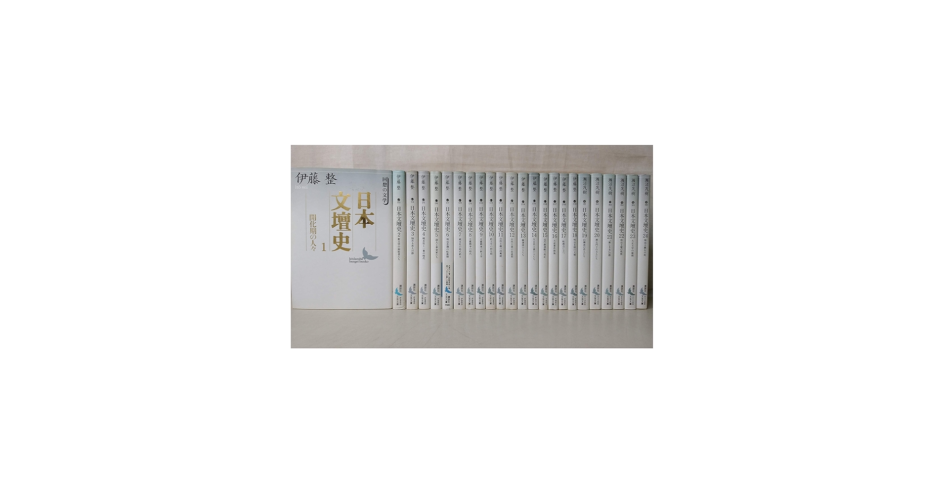 Amazon.co.jp: 日本文壇史 全24冊セット (講談社文芸文庫) : 伊藤 整