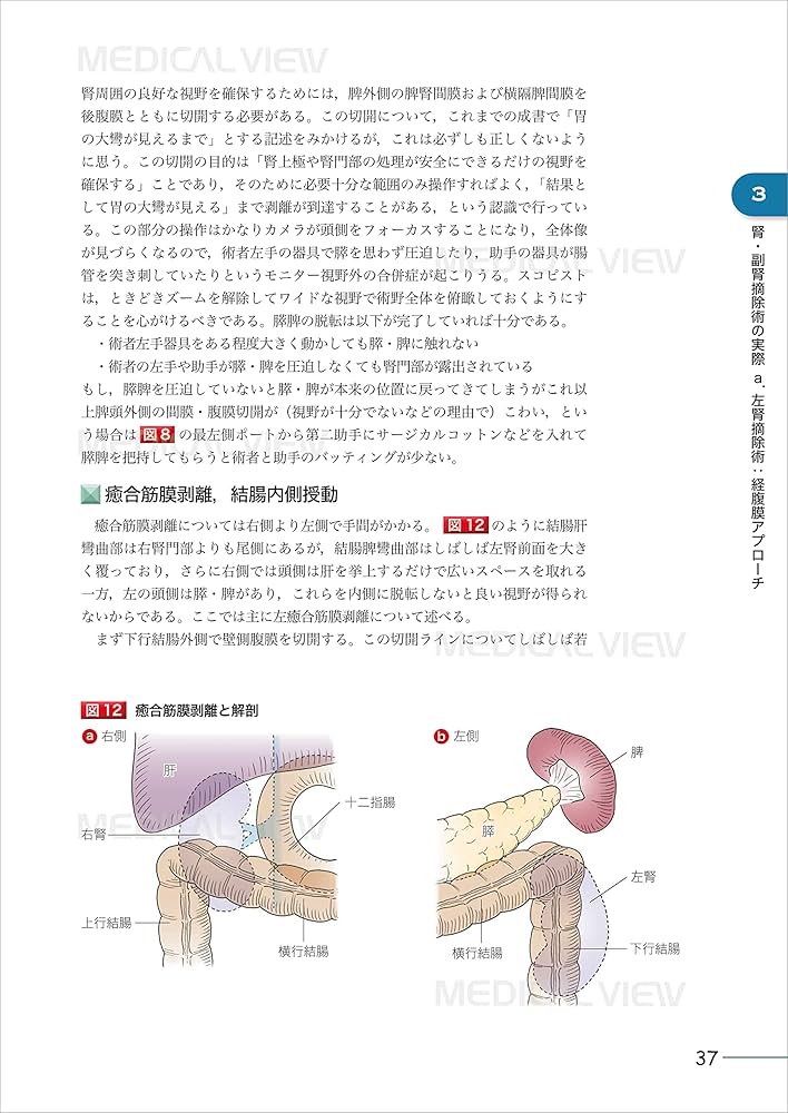 究める 腎・副腎腫瘍に対する腹腔鏡・ロボット支援手術［Web動画付