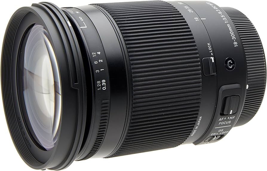 Amazon.com : Sigma 18-300mm F3.5-6.3 Contemporary DC Macro OS HSM