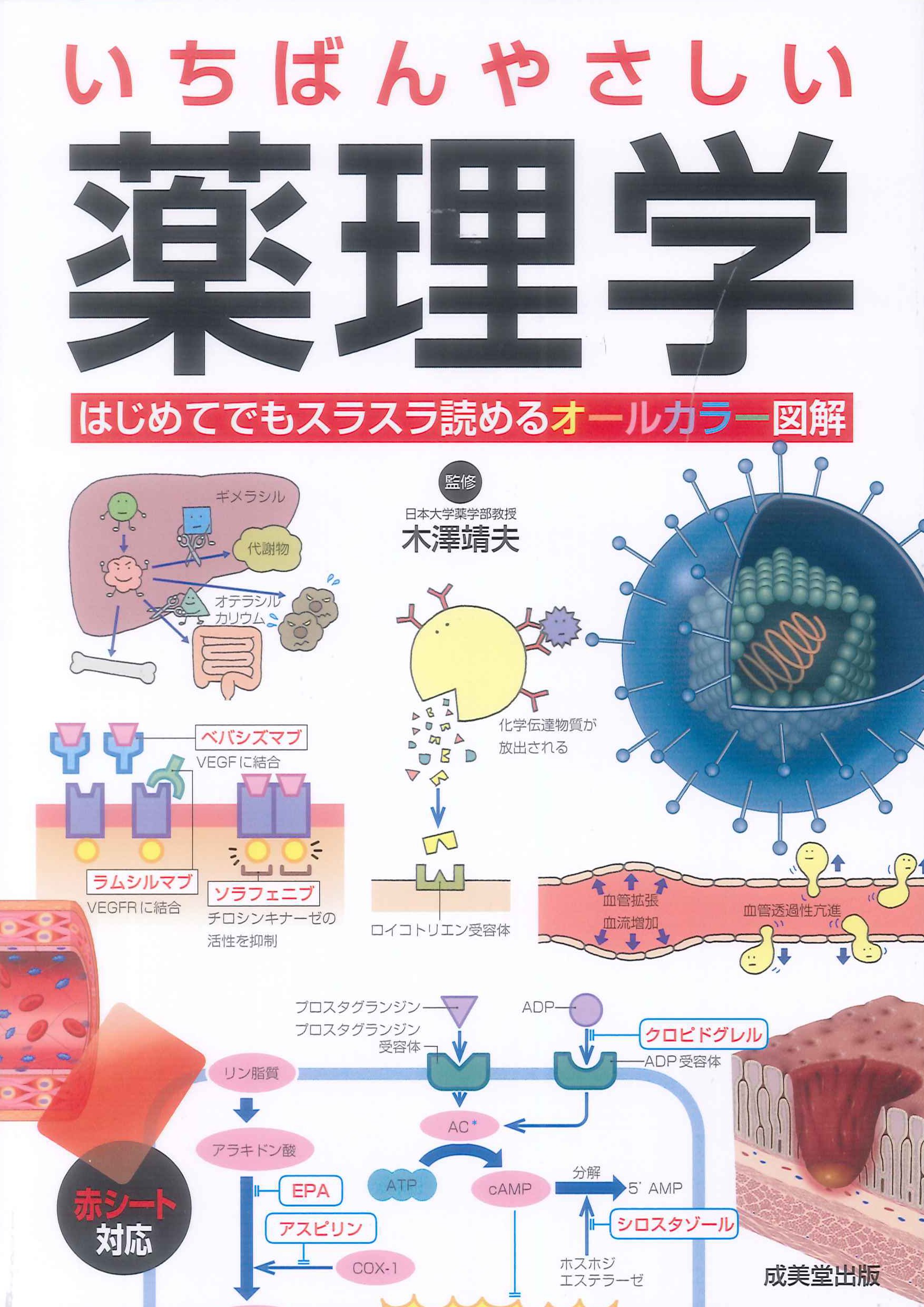 いちばんやさしい 薬理学 | 木澤 靖夫 |本 | 通販 | Amazon