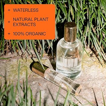 Amazon.com : DedCool Eau de Parfum | Fragrance 02 | Sandalwood