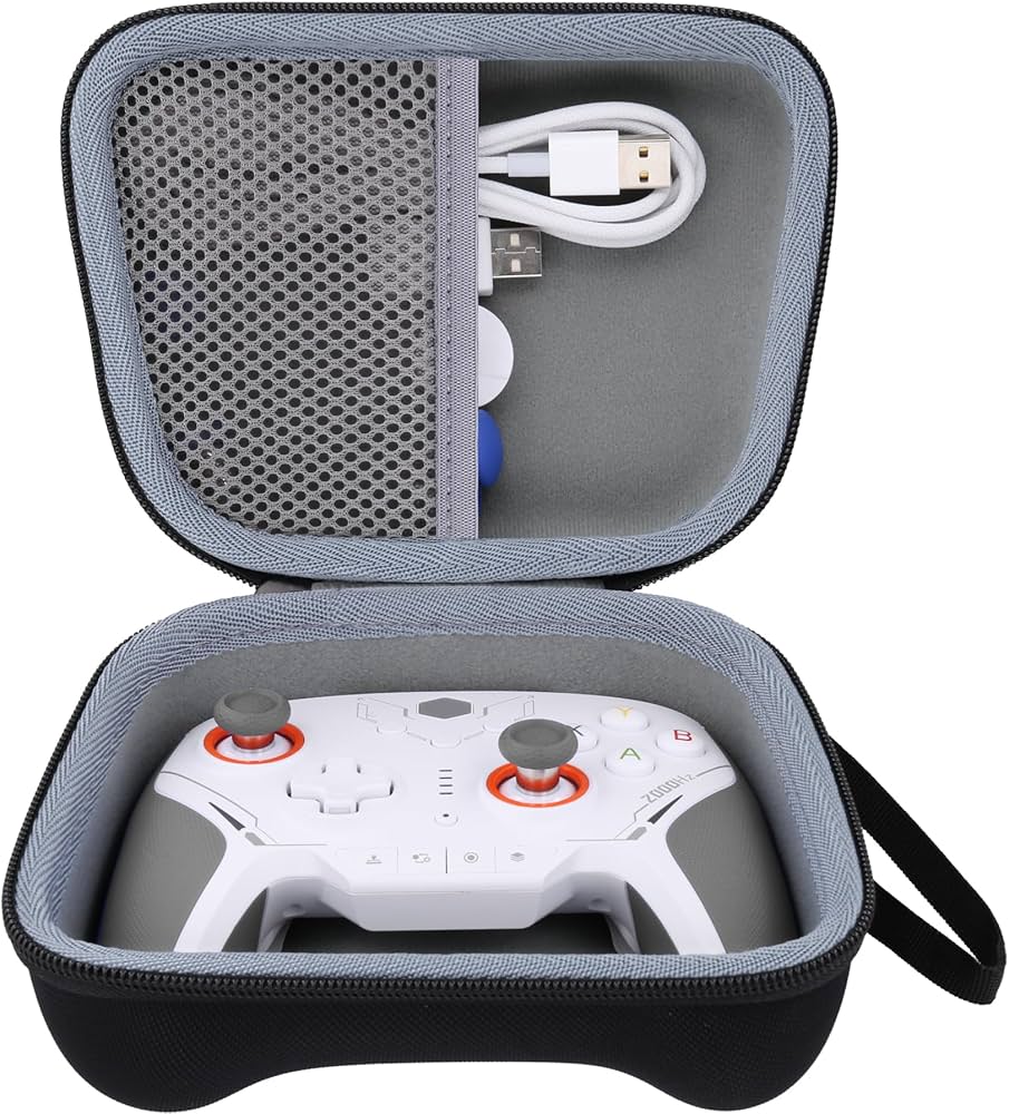 Amazon.co.jp: （ケースのみ）BIGBIG WON Rainbow 2 SE/BLITZ2