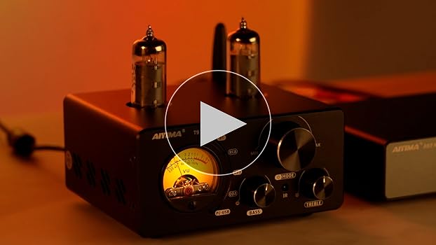 Amazon.co.jp: AIYIMA T9 Bluetooth 5.0 100W*2 Tube Amplifier 2.0