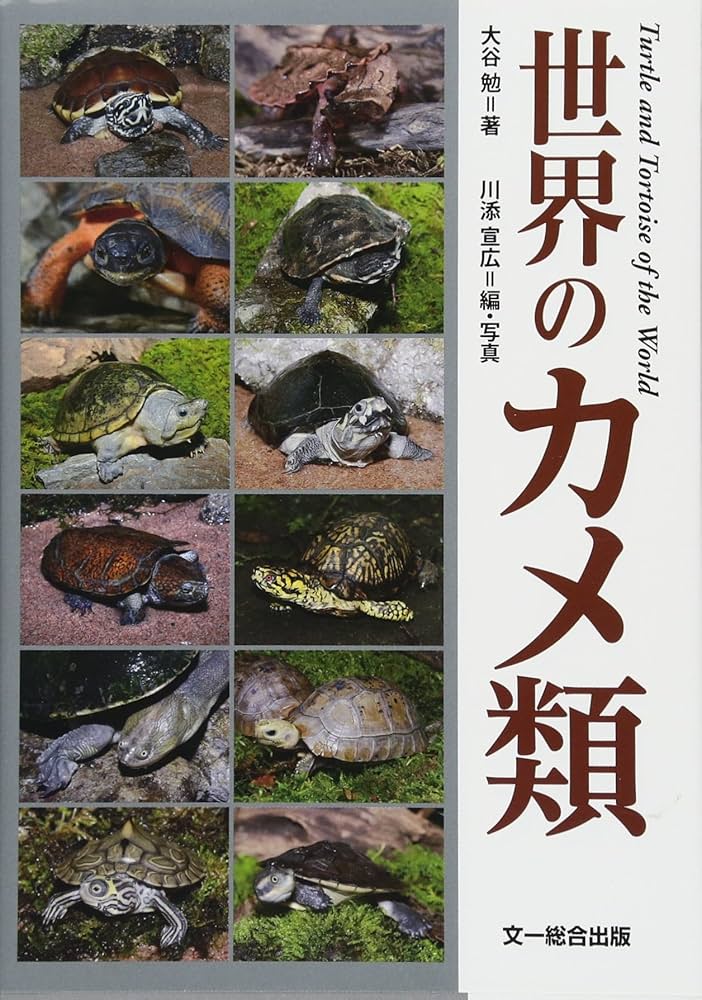 世界のカメ類 | 大谷 勉, 川添 宣広, 川添 宣広 |本 | 通販 | Amazon