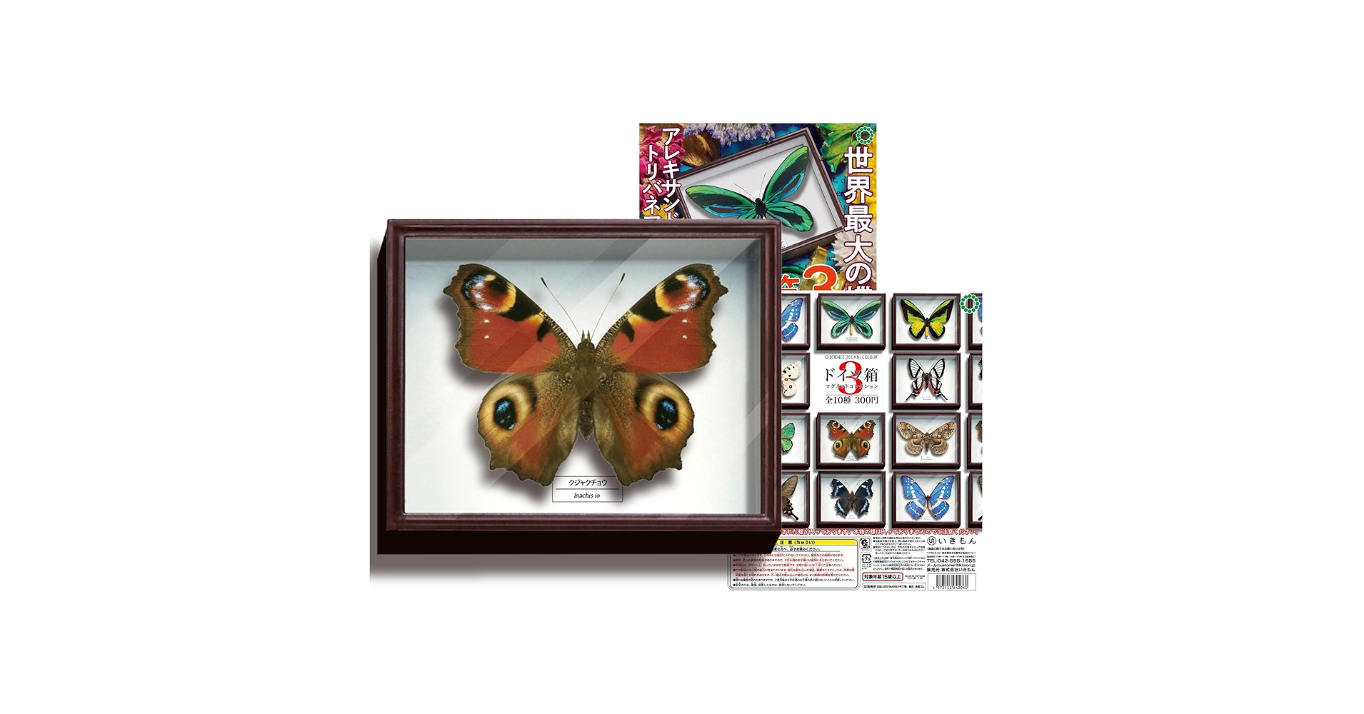 中型ドイツ箱 2個 展翅テープ・殺虫瓶・三角紙 追加あり(6/16) 中型