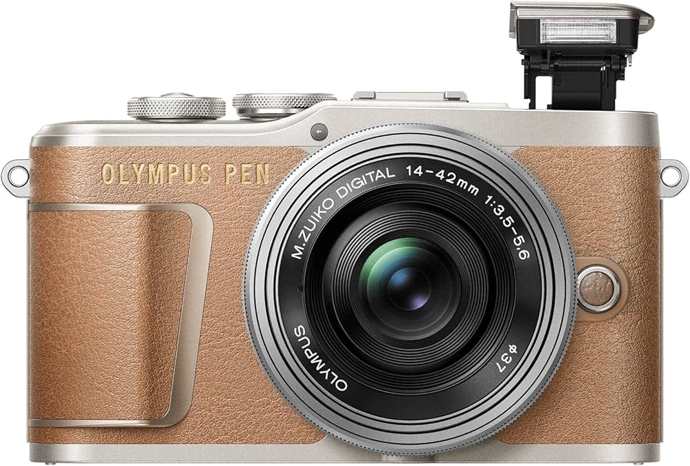 Amazon | OLYMPUS ミラーレス一眼 PEN E-PL9 ダブルズームキット
