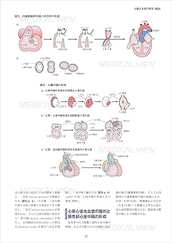 新 先天性心疾患を理解するための臨床心臓発生学 | 山岸 敬幸, 白石 公
