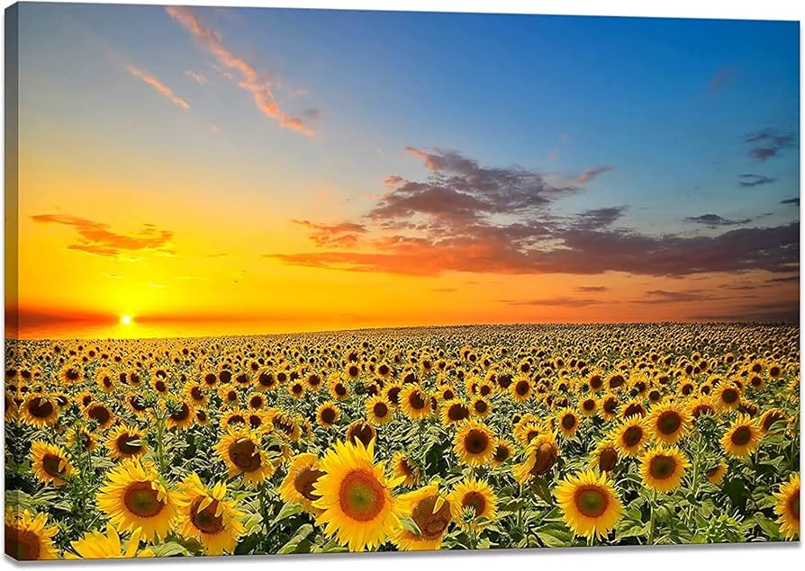 Amazon.co.jp: ひまわりの絵 アートパネル 向日葵 黄色い絵 ポスター