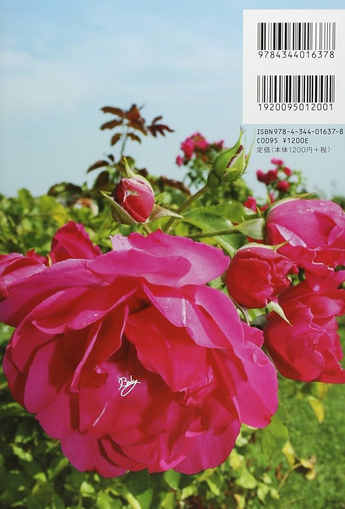 ベッキーの心のとびら | ベッキー |本 | 通販 | Amazon