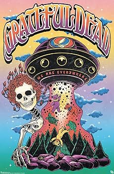 Amazon.co.jp: Trends International グレイトフル・デッド - Bertha