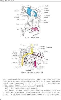 81O0ITp7gML._AC_UF350,