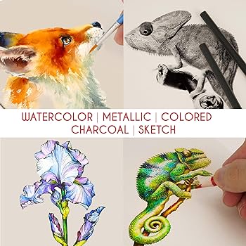 74-Piece Drawing Set - Beginner or Professional Tool Set, Pencil