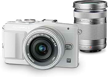 81P5aRu3PZL._AC_UF350,