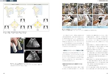 犬と猫のベーシック画像診断学 腹部編 | 獣医放射線学教育研究会 |本