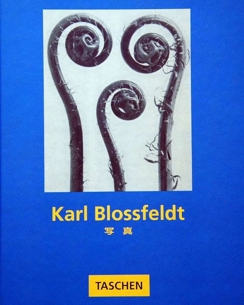Karl Blossfeldt 写真 | カール・ブロスフェルト |本 | 通販 | Amazon