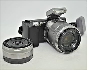 Amazon.co.jp: SONY ミラーレス一眼 α NEX-5 ダブルズームレンズキット
