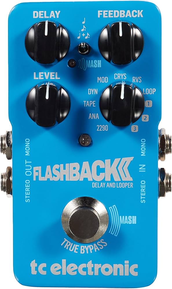 TC Electronics Flashback 2 Delay Effects Pedal : Amazon.ca