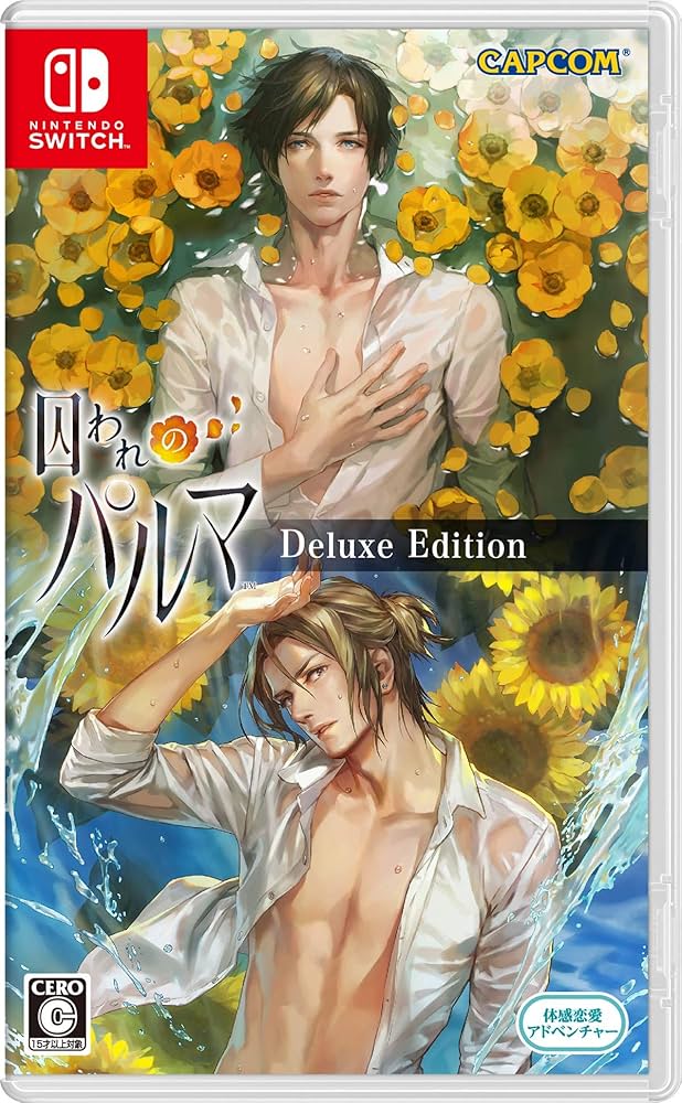 Amazon.co.jp: 囚われのパルマ デラックス エディション -Switch : ゲーム