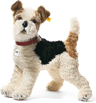 81P+xJMQOXL._AC_UF350,