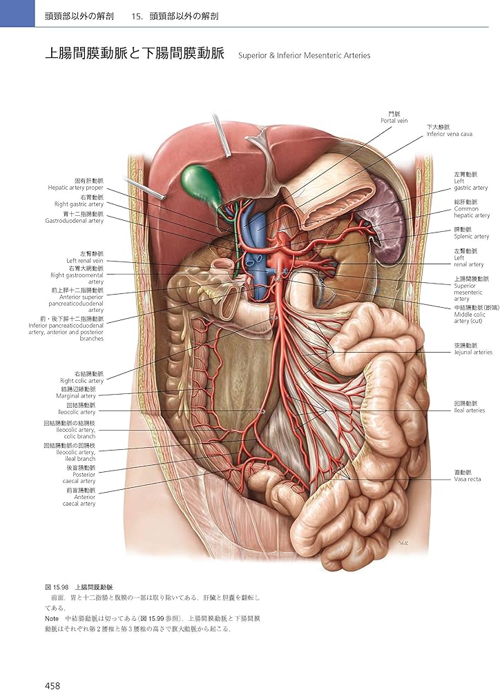 プロメテウス解剖学アトラス 口腔・頭頸部 第2版 | 坂井建雄, 天野修