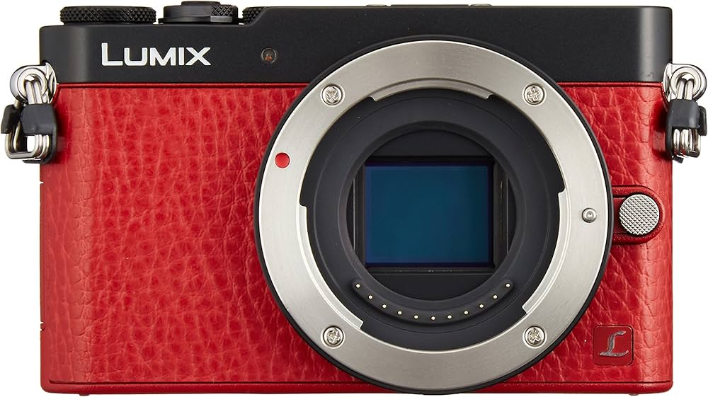 Amazon | パナソニック ミラーレス一眼カメラ GM5 ボディ レッド DMC