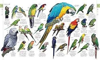 Amazon.co.jp: 地球博物学大図鑑 : スミソニアン協会, デイヴィッド