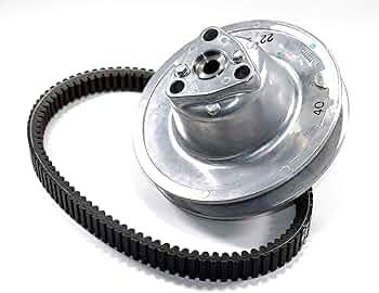 81QvYEm4bGL._AC_UF350,