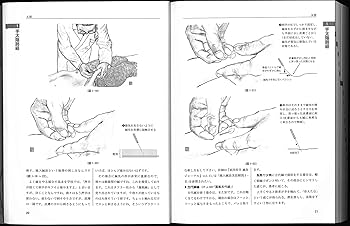 81R7EBgl3cL._AC_UF350,