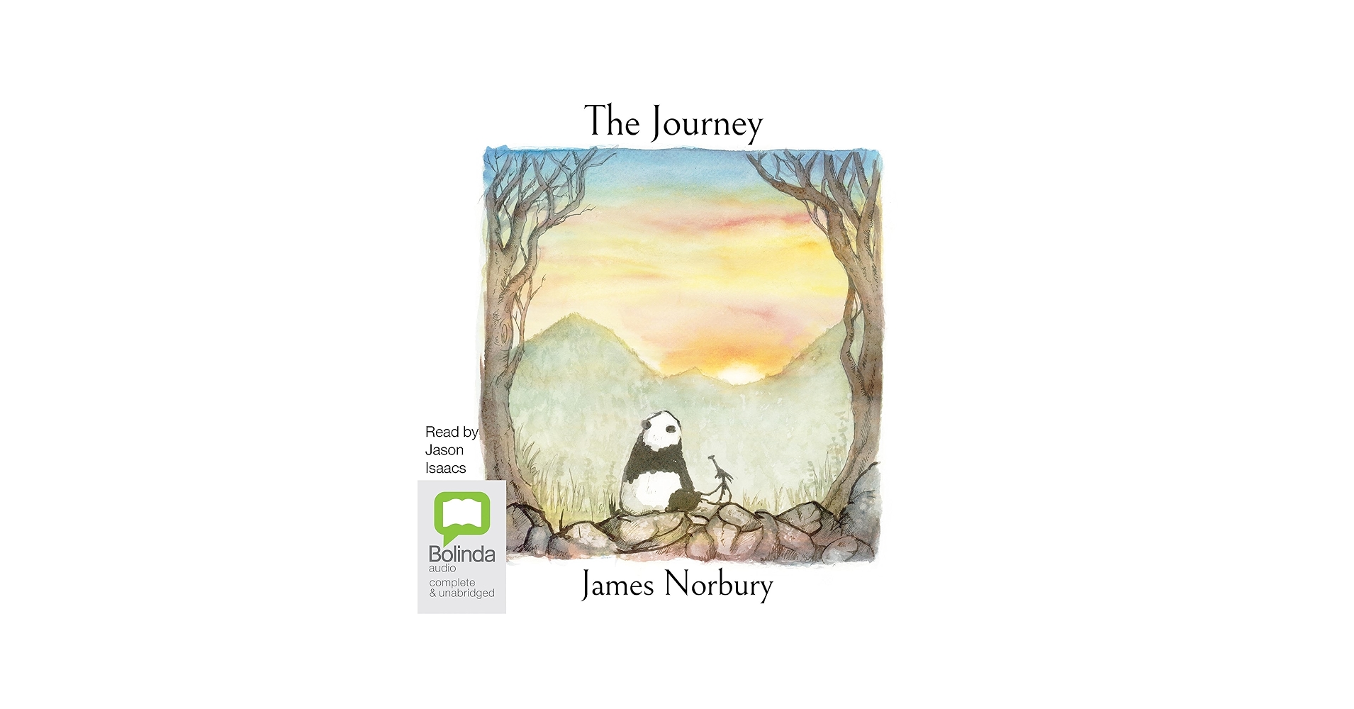 Amazon.com: The Journey: A Big Panda and Tiny Dragon Adventure