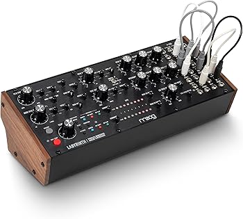 Amazon.com: MOOG Labyrinth - Semi-Modular Parallel Generative