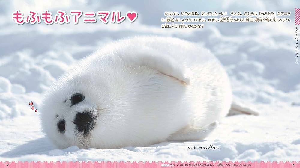 Amazon.co.jp: もふもふ動物 (学研の図鑑LIVEforガールズ) : 今泉忠明