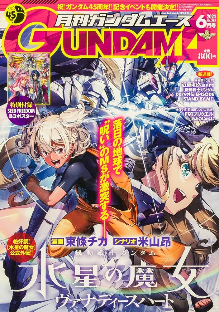 月刊ガンダムエース15年分位。 月刊ガンダムエース15年分位。 月刊