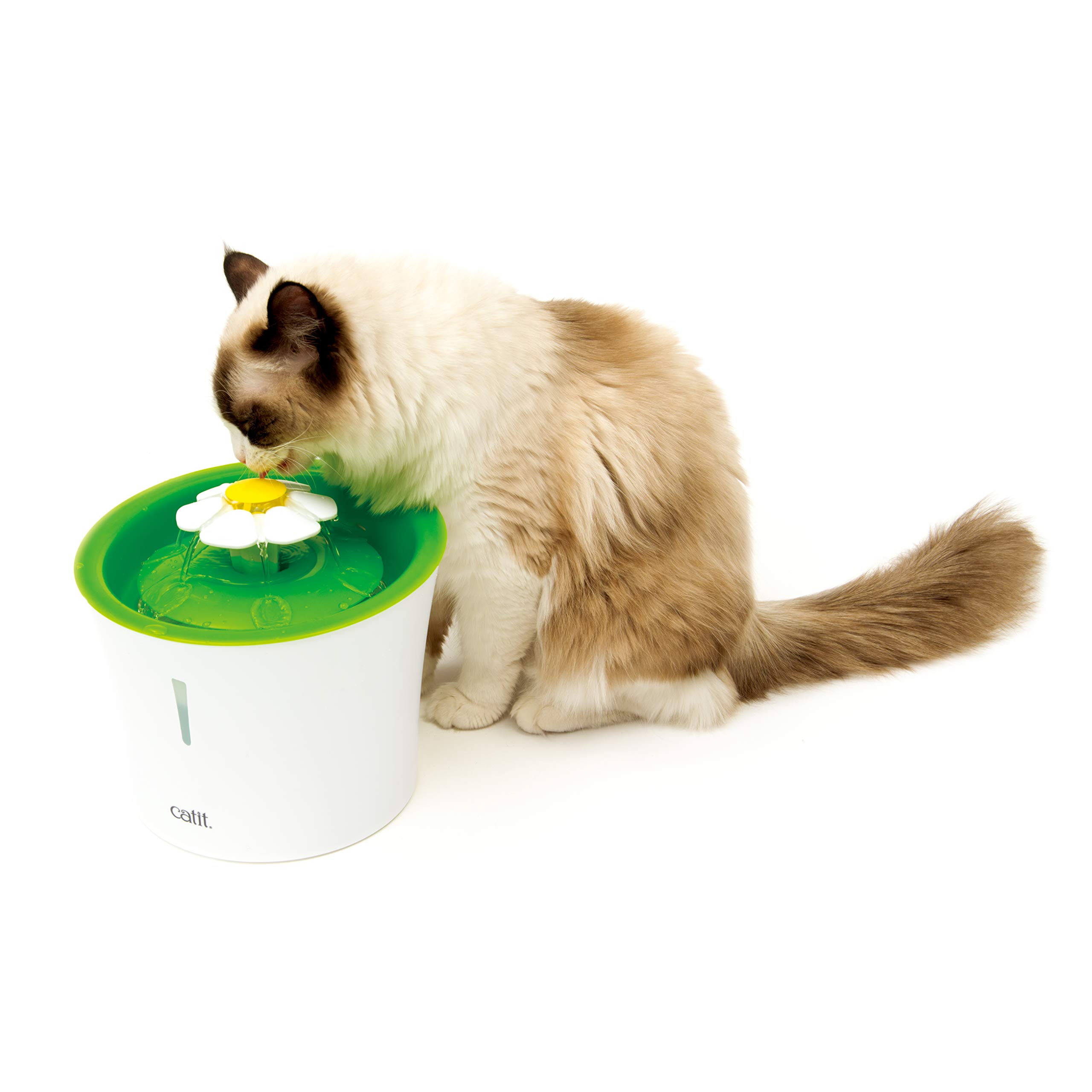 Amazon | ジェックス Catit フラワーファウンテンN 選べる水流 交換用