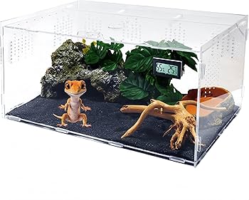 Amazon | Niesporek 爬虫類 トカゲ ケージ カナヘビ飼育ケース