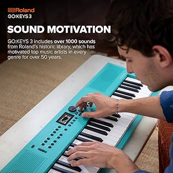 Amazon.co.jp: Roland ローランド 電子キーボード GOKEYS3-RD 61鍵盤