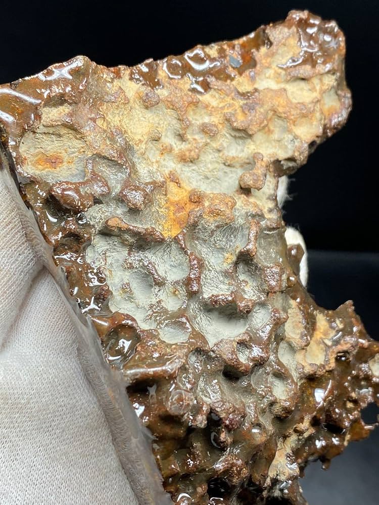 Amazon.co.jp: 【鑑別書付き】 パラサイト隕石 374g 男女兼用 隕石 石