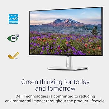 Amazon.com: Dell UltraSharp 24 Monitor - U2424H, FHD 1080p