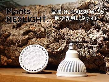 Amazon.co.jp: PLANTS NEXLIGHT ホワイト WHITE プランツネクスライト