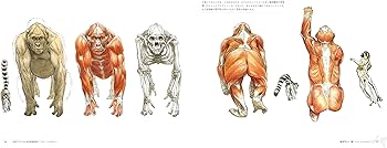 Amazon.co.jp: 幻獣デザインのための動物解剖学 : テリル・ウィット