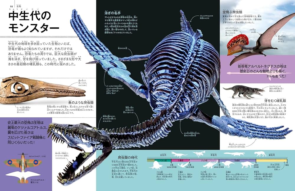 Amazon.co.jp: 見るだけで世界がわかる大図鑑 : DK社: 本