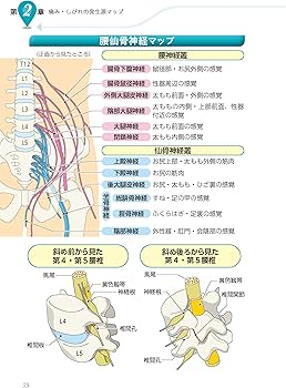 大学病院「背骨外来」の名医が教える 脊柱管狭窄症 自力で克服！ 一生