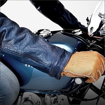 Amazon | デイトナ(Daytona) バイク 革ジャン レザージャケット 本革