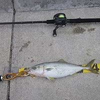 Amazon | ヤマガブランクス(YAMAGA Blanks) バリスティック ベイト