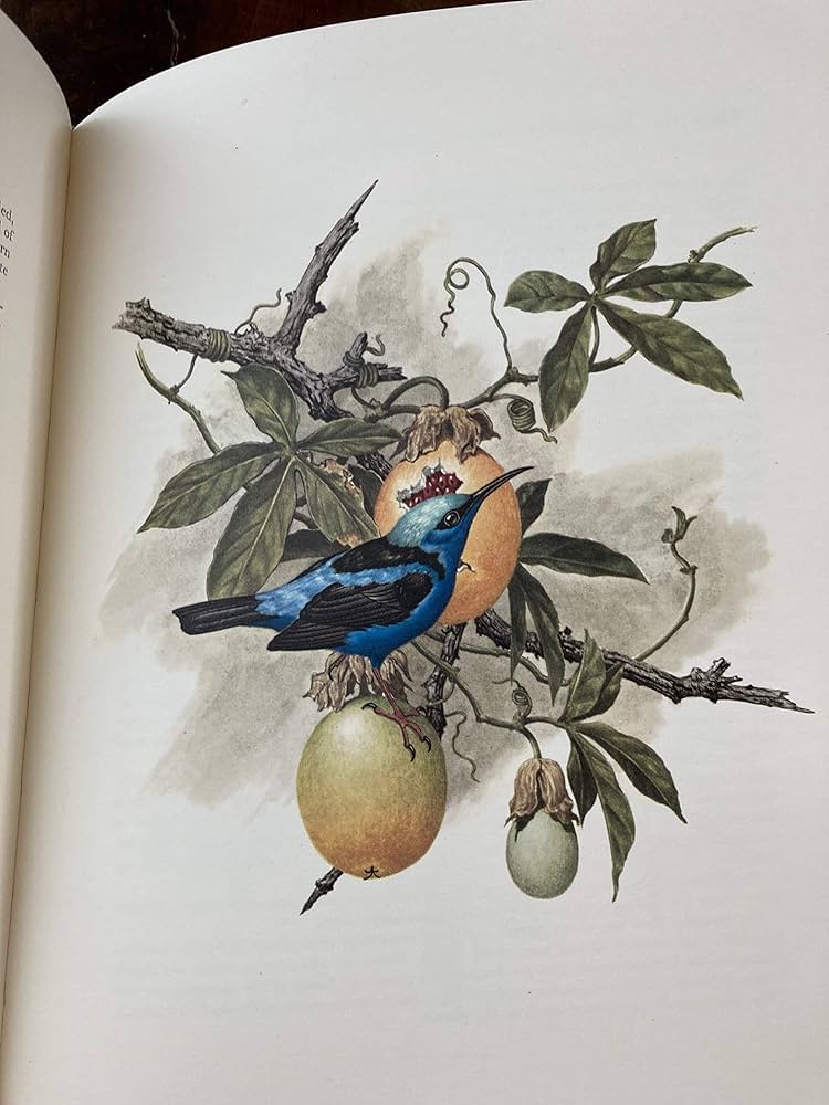 Studies of Birds and Mammals of South America Inscribed