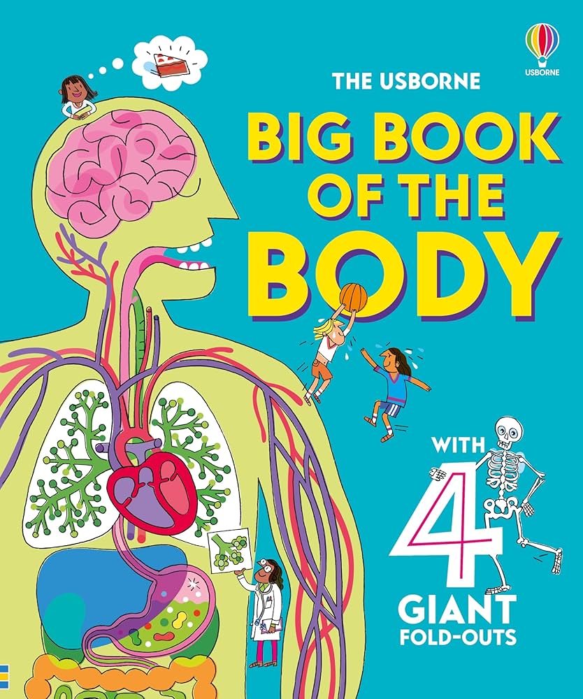 Amazon.com: Big Book of The Body: A Bold Illustrated Introduction