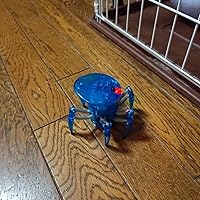 Amazon | HEXBUG ヘックスバグ バトルスパイダー (2個セット
