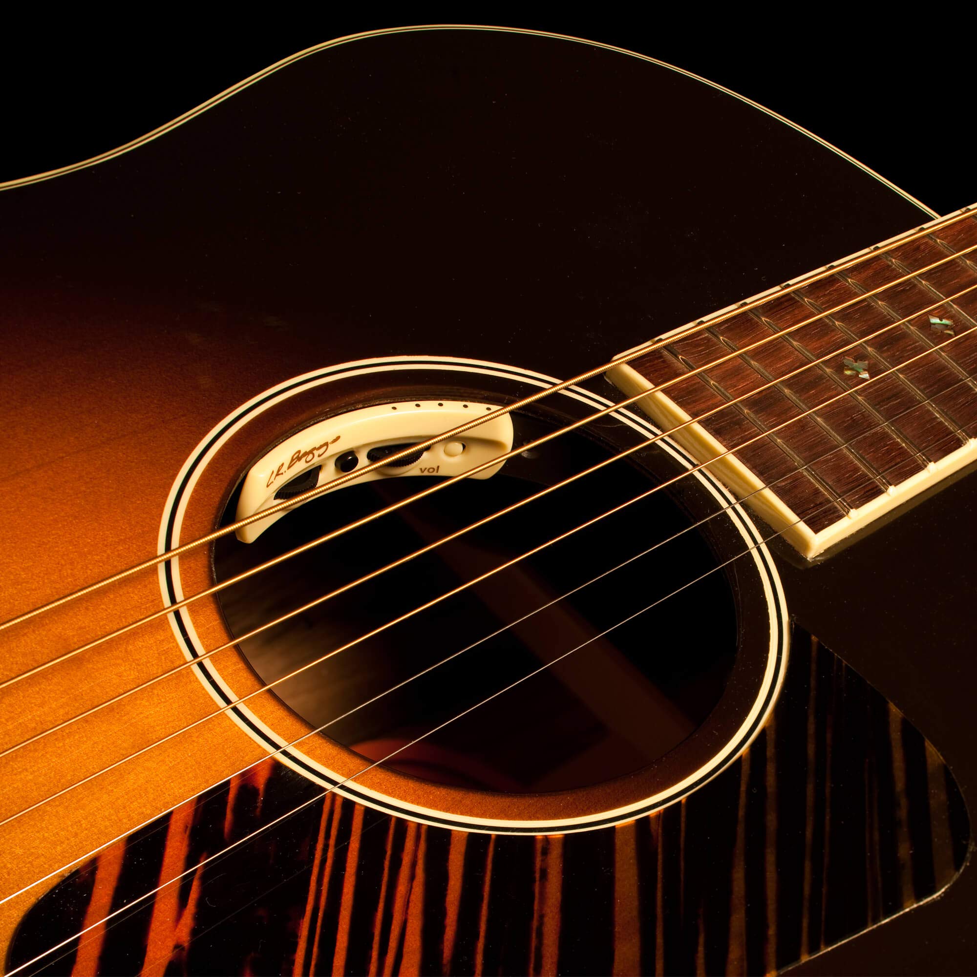 LR Baggs ANTHEM Acoustic Guitar Pickup : Amazon.ca: Musical