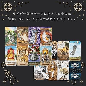 81VluIoENJL._AC_UF350,