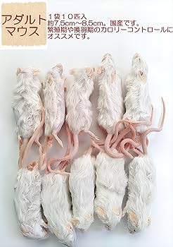 Amazon | 国産 冷凍マウス アダルト10匹 | しあわせをよぶふくろうの城